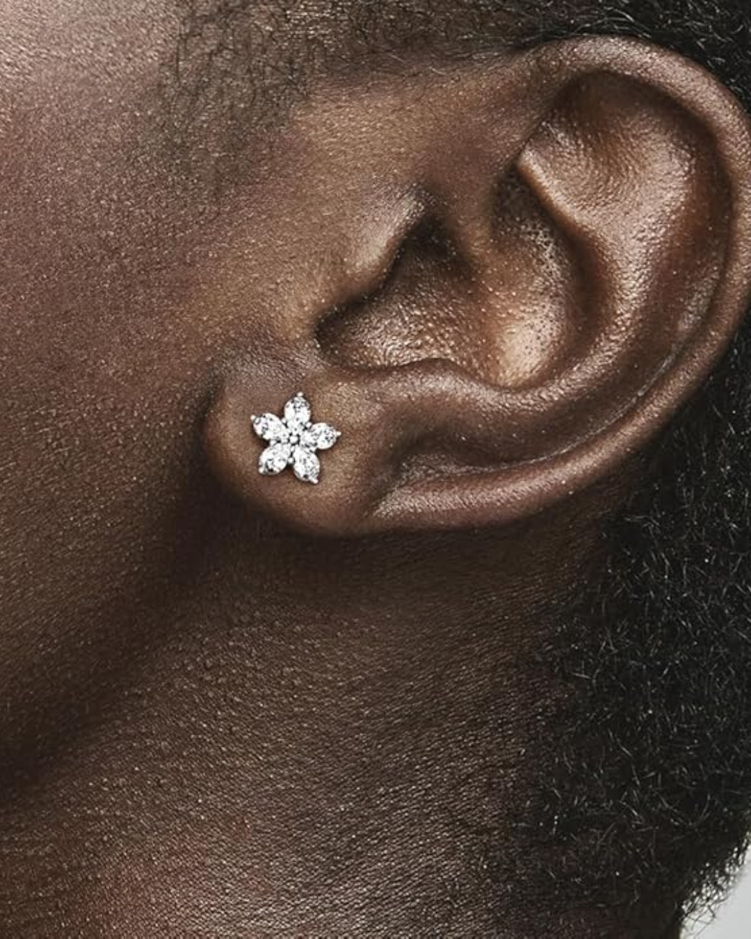 Arete Copo de Nieve