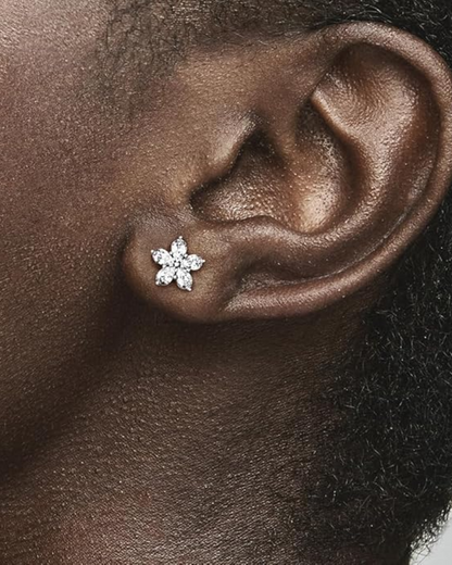 Arete Copo de Nieve
